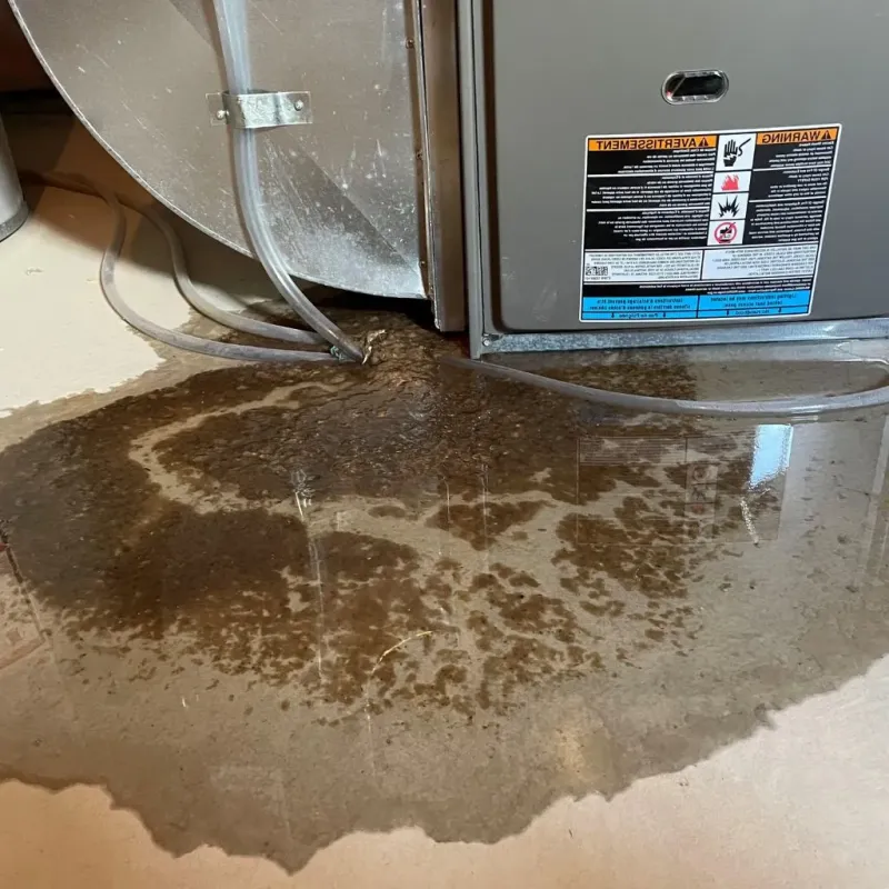 Pipe Burst and Leak Restoration in Lancaster County, PA